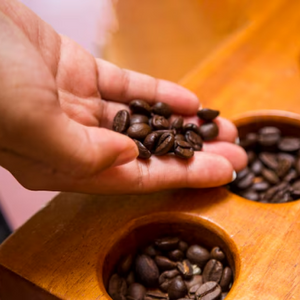 Quy trình chọn lọc kỹ càng